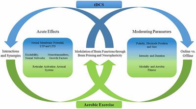 A Review of Acute Aerobic Exercise and Transcranial Direct Current Stimulation Effects on Cognitive Functions and Their Potential Synergies